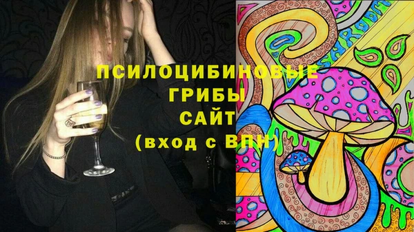 бошки Богданович